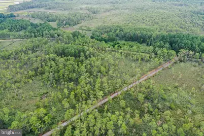 30371 Marumsco Road, Marion Station, MD 21838 - Photo 11