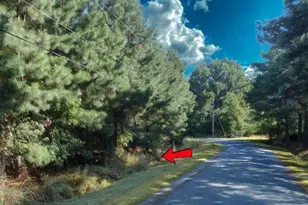 0 Roland Parks Rd, Deal Island, MD 21821 - Photo 1
