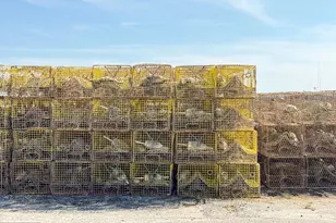 25830 Rumbley Rd, Westover, MD 21871 - Photo 51