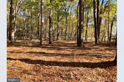 5051 Wayman Road, Marion Station, MD 21838 - Photo 3