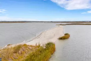 25640 Frenchtown Rd, Westover, MD 21871 - Photo 23