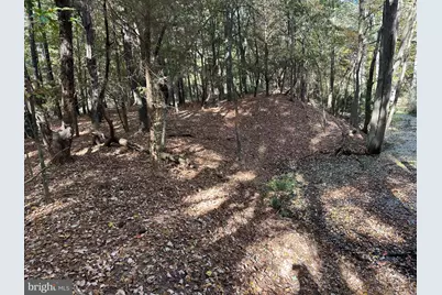 0 Whitehaven Ferry Road, Princess Anne, MD 21853 - Photo 33