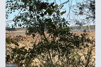 0 Whitehaven Ferry Road, Princess Anne, MD 21853 - Photo 41