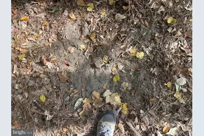 0 Whitehaven Ferry Road, Princess Anne, MD 21853 - Photo 19