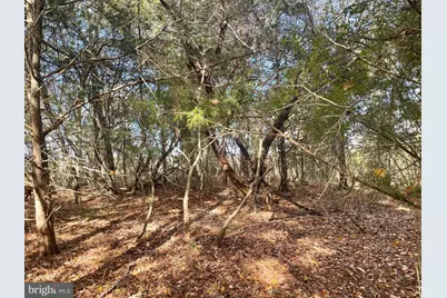 0 Whitehaven Ferry Road, Princess Anne, MD 21853 - Photo 11