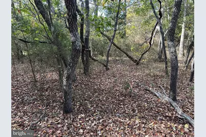 0 Whitehaven Ferry Road, Princess Anne, MD 21853 - Photo 43