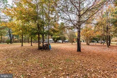 24653 McInturff Road, Dames Quarter, MD 21821 - Photo 3