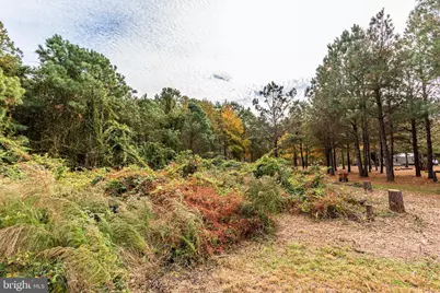 24653 McInturff Road, Dames Quarter, MD 21821 - Photo 37