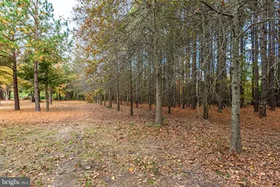 24653 McInturff Road, Dames Quarter, MD 21821 - Photo 11