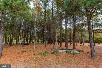 24653 McInturff Road, Dames Quarter, MD 21821 - Photo 35