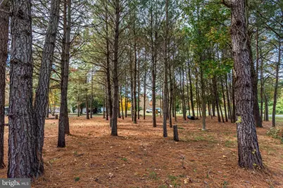 24653 McInturff Road, Dames Quarter, MD 21821 - Photo 47