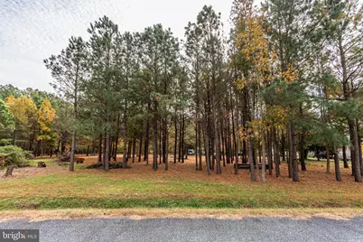 24653 McInturff Road, Dames Quarter, MD 21821 - Photo 41