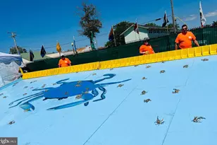 232 N Somerset Ave, Crisfield, MD 21817 - Photo 37