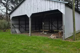 28851 L Q Powell Rd, Marion Station, MD 21838 - Photo 19