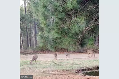 27351 Phoenix Church Road, Marion Station, MD 21838 - Photo 37