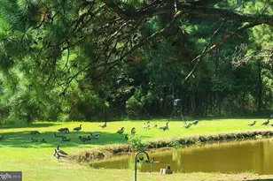 27351 Phoenix Church Rd, Marion Station, MD 21838 - Photo 9