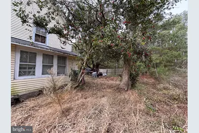 4695 Green Road, Marion Station, MD 21838 - Photo 11