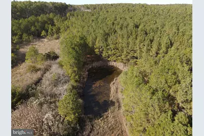 10407 William Sharpless Road, Princess Anne, MD 21853 - Photo 7