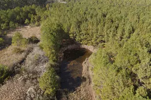 10407 William Sharpless Rd, Princess Anne, MD 21853 - Photo 7