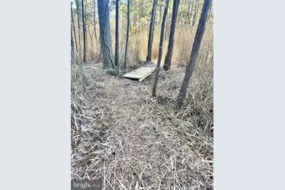 0 Champ Road, Princess Anne, MD 21853 - Photo 13