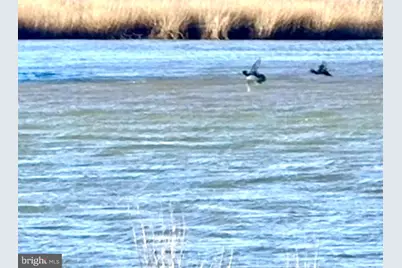 0 Champ Road, Princess Anne, MD 21853 - Photo 23