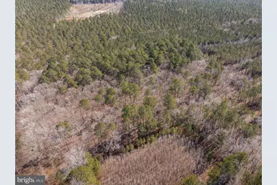 0 Polks Road, Princess Anne, MD 21853 - Photo 17