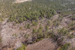 0 Polks Rd, Princess Anne, MD 21853 - Photo 17