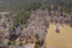 0 Polks Rd, Princess Anne, MD 21853 - Photo 11