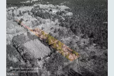 0 Polks Road, Princess Anne, MD 21853 - Photo 5