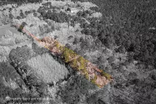 0 Polks Rd, Princess Anne, MD 21853 - Photo 5