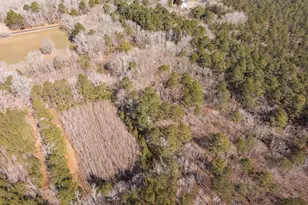 0 Polks Rd, Princess Anne, MD 21853 - Photo 15