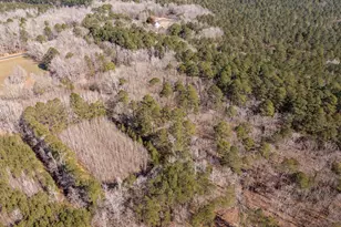 0 Polks Rd, Princess Anne, MD 21853 - Photo 13