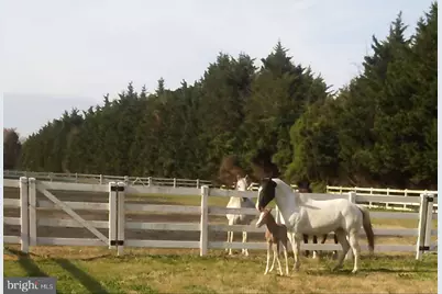 14135 Cooley Road, Princess Anne, MD 21853 - Photo 11