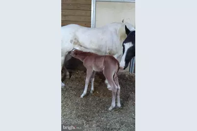 14135 Cooley Road, Princess Anne, MD 21853 - Photo 13