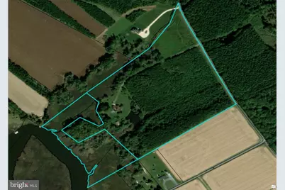 9554 Millard Long Road, Westover, MD 21871 - Photo 41