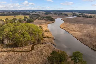 9554 Millard Long Rd, Westover, MD 21871 - Photo 61