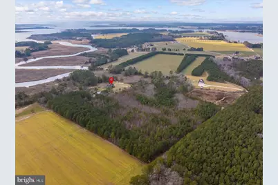 9554 Millard Long Road, Westover, MD 21871 - Photo 53