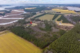 9554 Millard Long Rd, Westover, MD 21871 - Photo 53