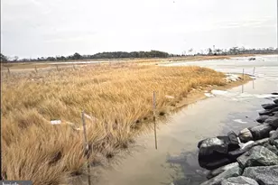 0 Crowell Rd, Deal Island, MD 21821 - Photo 1