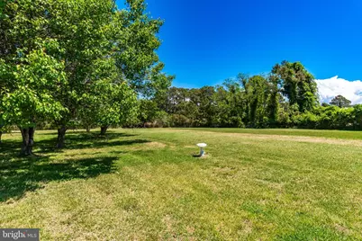 23212 Haines Point Road, Chance, MD 21821 - Photo 45