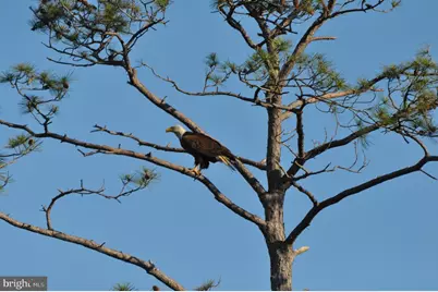 10148 Champ Road, Princess Anne, MD 21853 - Photo 3