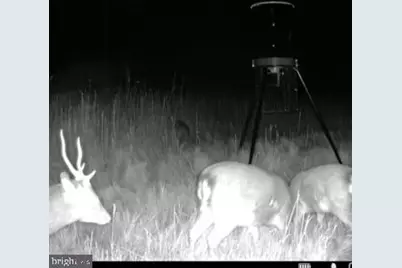 007 Mt. Vernon Road, Princess Anne, MD 21853 - Photo 23