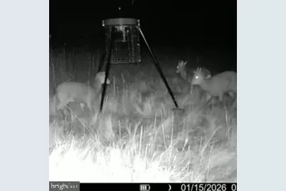 007 Mt. Vernon Road, Princess Anne, MD 21853 - Photo 29
