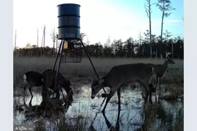 007 Mt. Vernon Road, Princess Anne, MD 21853 - Photo 1