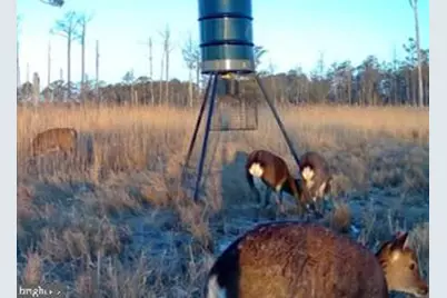 007 Mt. Vernon Road, Princess Anne, MD 21853 - Photo 25