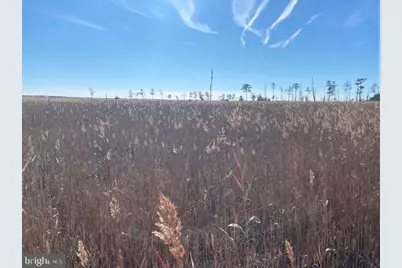 007 Mt. Vernon Road, Princess Anne, MD 21853 - Photo 49