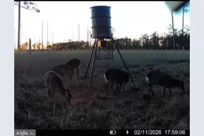 007 Mt. Vernon Road, Princess Anne, MD 21853 - Photo 19