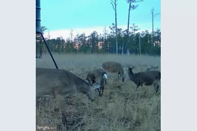 007 Mt. Vernon Road, Princess Anne, MD 21853 - Photo 5