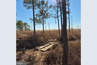 007 Mt. Vernon Road, Princess Anne, MD 21853 - Photo 35