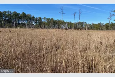 007 Mt. Vernon Road, Princess Anne, MD 21853 - Photo 63